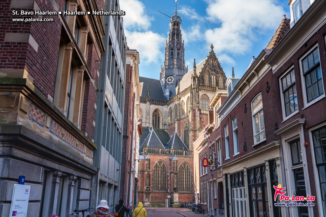 St. Bavo Haarlem